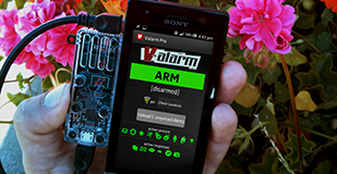 ValarmGarden-small